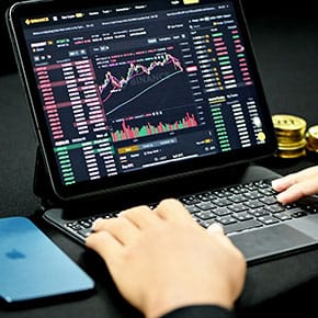 Person checking cryptocurrency stats on a laptop
